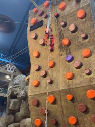 -卡通尼·Safari非洲探索乐园·生日会(金桥国际商业广场店)