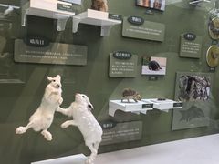 -国家自然博物馆