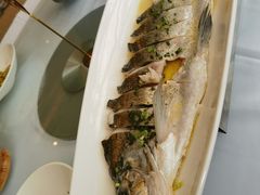 -沪碟·精菜坊(闵行店)