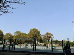 -滆湖低碳生态公园
