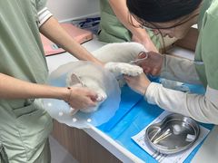 -达爱动物医院·犬猫分区·CT·复杂眼科(远洋山水分院)