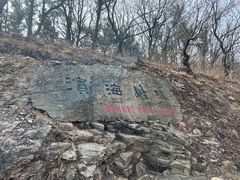 -怪坡茶馆