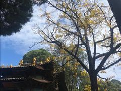 -昆明市金殿名胜区
