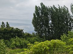 -洨河生态公园
