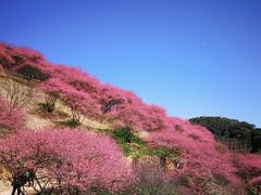 -溪口-滕头旅游景区