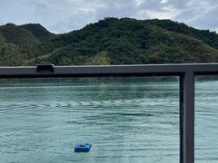 -黄山太平湖风景区
