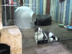-小时光咖啡馆(开森度假森林店)
