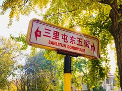 -三里屯东五街银杏大道