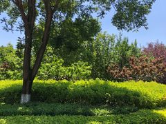 -春晖园度假酒店温泉