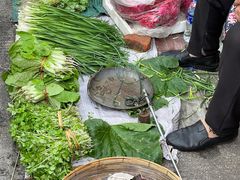 -南门绿玉农贸市场