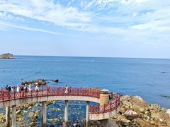 -养马岛旅游度假区