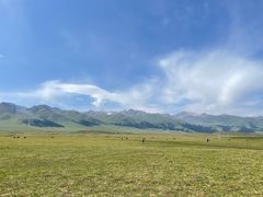 -新疆那拉提国家旅游度假区
