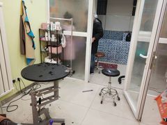 -精灵岛宠物生活馆(洪泽花园店)