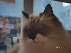 -灯塔咖啡馆BOOK·Coffee Shop