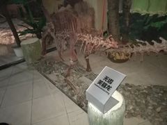 -龙塔