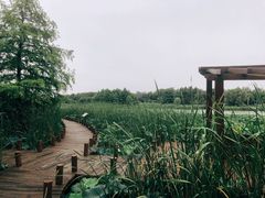 -苏州东太湖生态园
