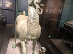 -广西壮族自治区博物馆