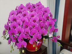 -儒宴江南菜·新淮扬菜·烤鸭(总部基地丰体店)