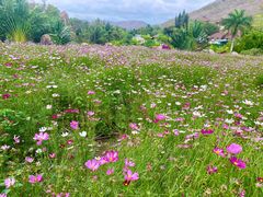 -三亚南山文化旅游区
