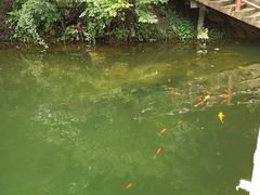 -天龙池风景区
