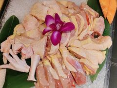 -淼福猪肚鸡·椰子鸡火锅(大沙地店)