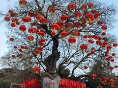 -八大处公园