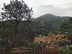 -黄腾峡天门悬廊