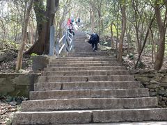 -紫金山山顶公园