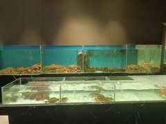 -许家菜.艺创菜(仁和新城店)