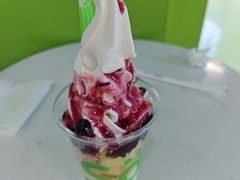 -Salud撒露欧洲冻酸奶(五道口购物中心店)