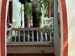 -深圳仙湖植物园