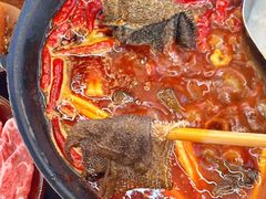 -阳阳老火锅(小南门店)