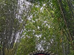 -成都武侯祠博物馆