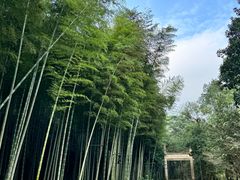 -黄公望隐居地