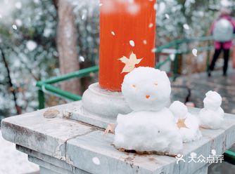 白白的雪花和古代建筑的红墙绿瓦相配尤其好看
