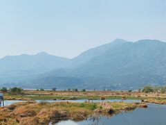 -腾冲北海湿地