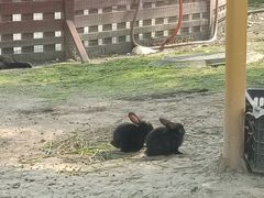 -国色天乡三期陆地乐园
