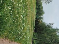 -白鹭湾湿地公园