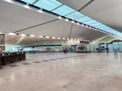 -成吉思汗国际机场