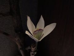 -新盈光·云会所(百丈东路店)