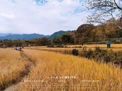 -塔川景区