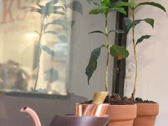 -The Workshop Coffee