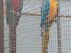 -南宫五洲植物乐园