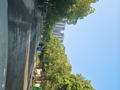 -成都南湖公园