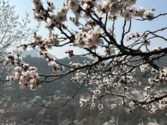 -居庸关长城
