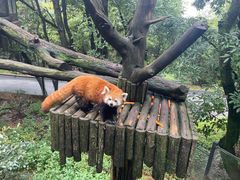 -云南野生动物园
