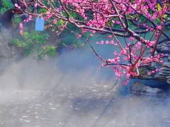 -静安雕塑公园