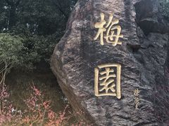 -无锡梅园公园