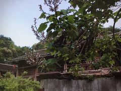 -尧上仡佬族文化村
