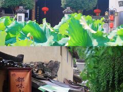 -清漾毛氏文化村